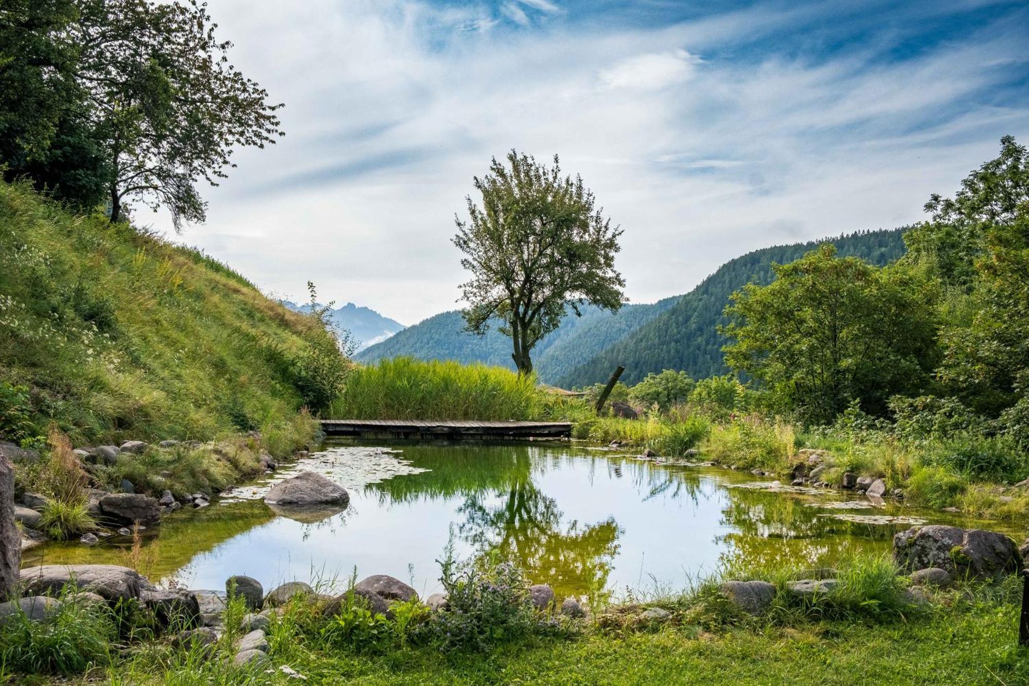 Vakantieboerderij Burgerhof *