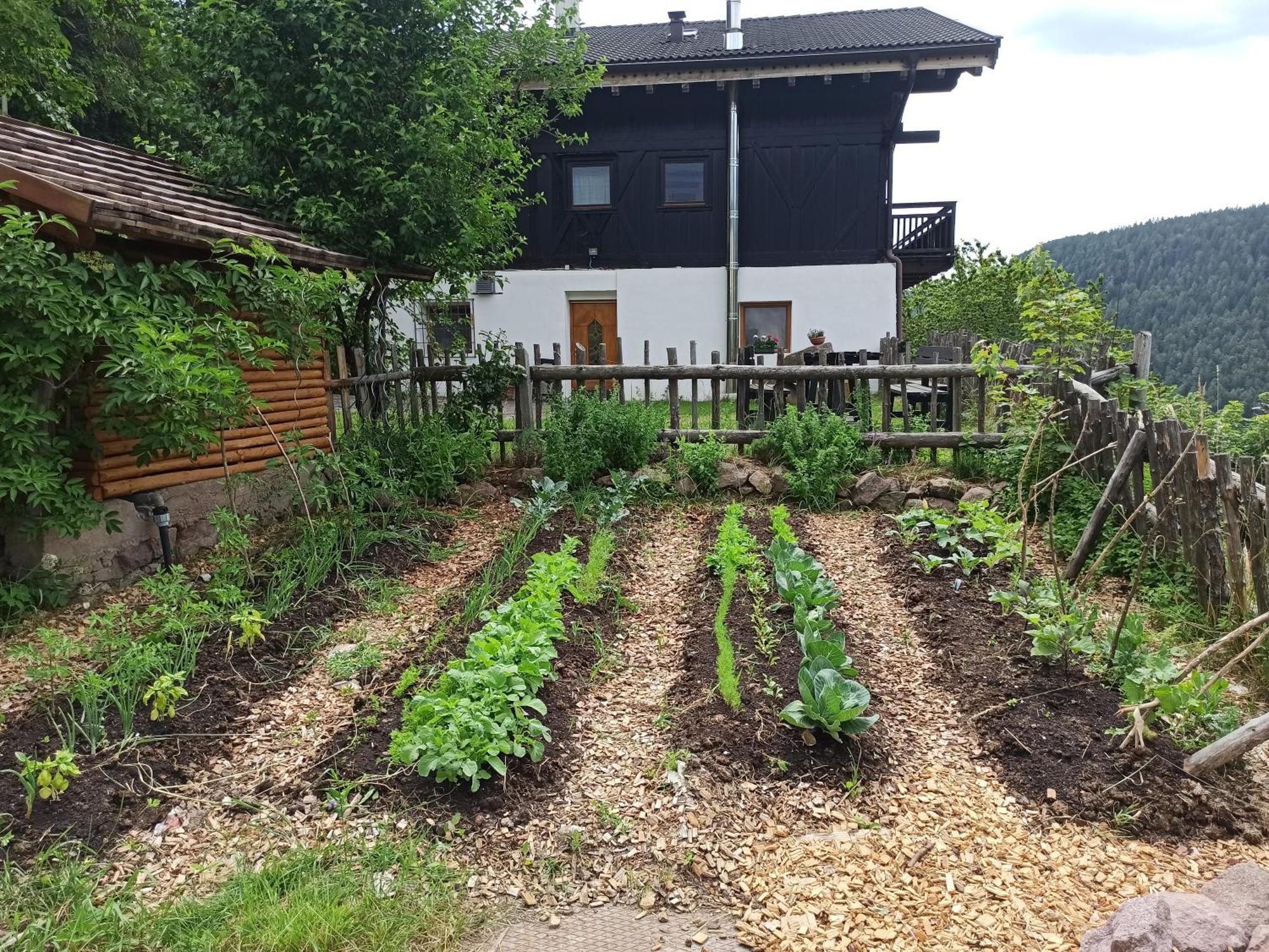 Burgerhof Vakantieboerderij